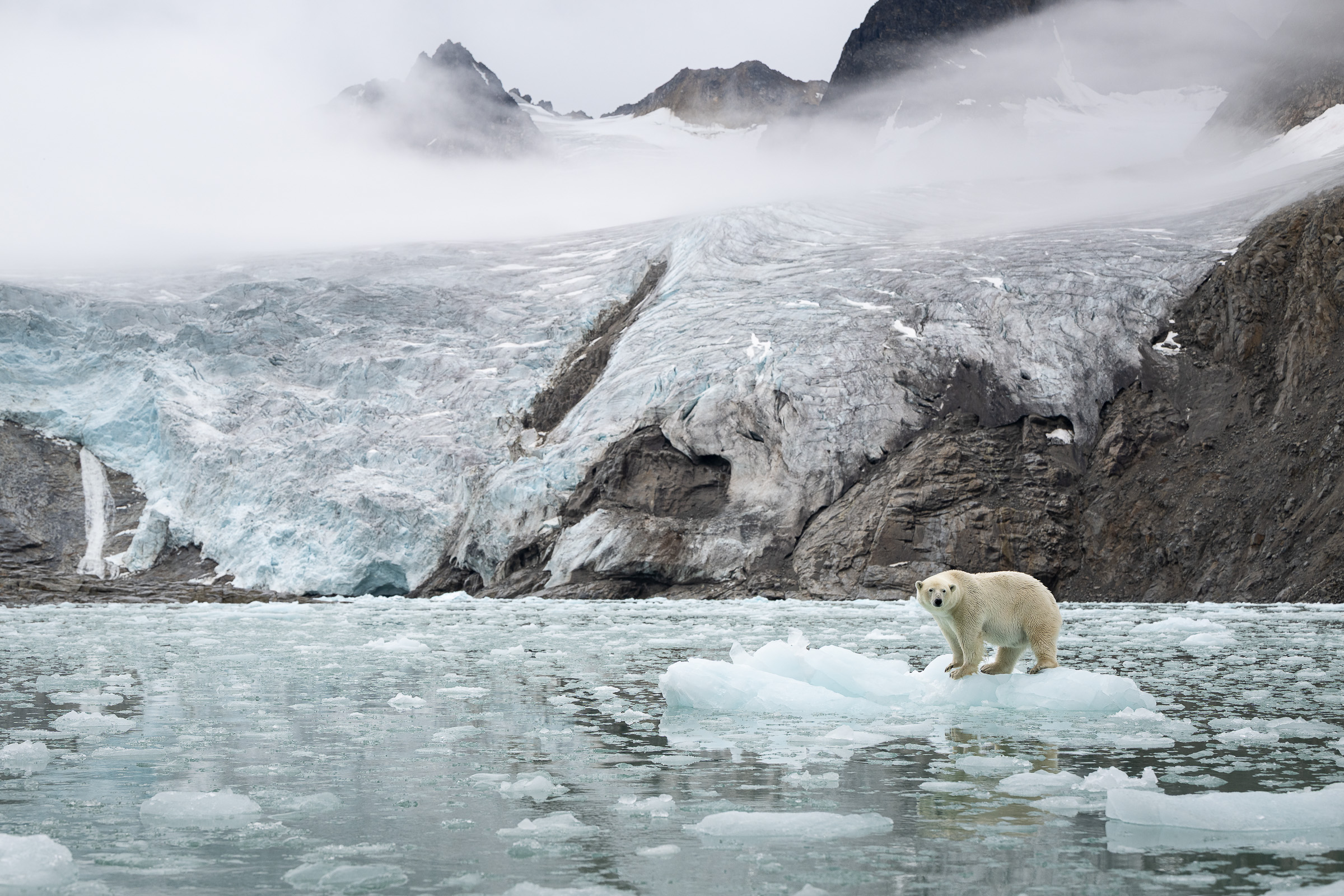 2024-08-07 Svalbard_Norge-6763